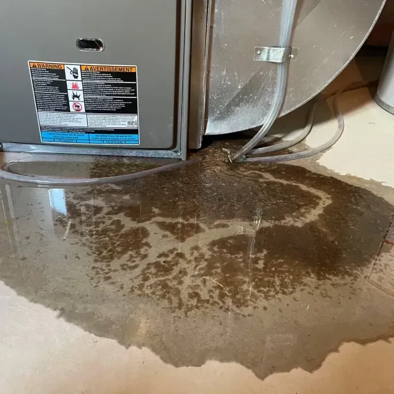 Appliance Leak Cleanup in Sheffield, PA